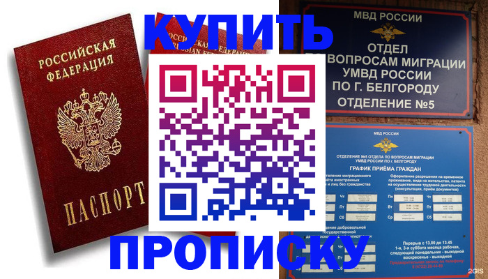 прописка иностранных граждан в Вельске